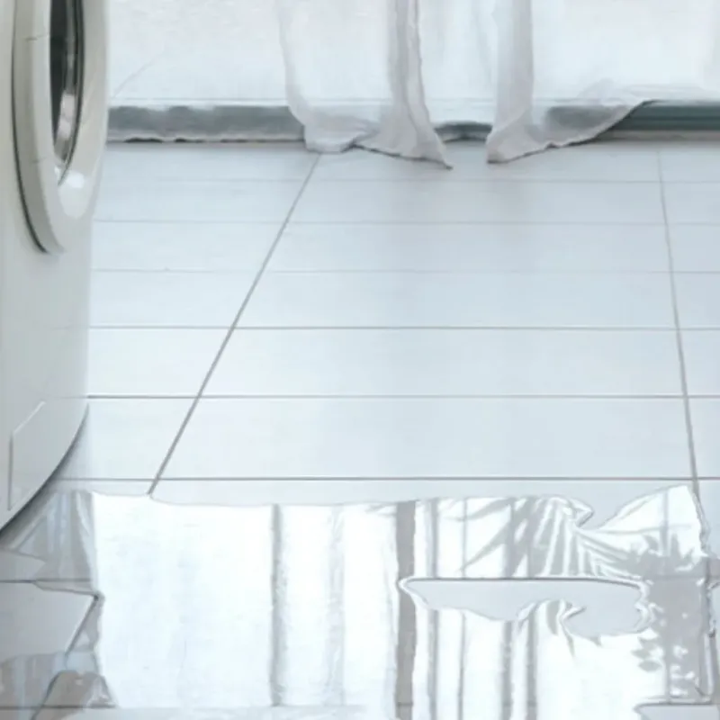 Appliance Leak Cleanup in Bothell, WA